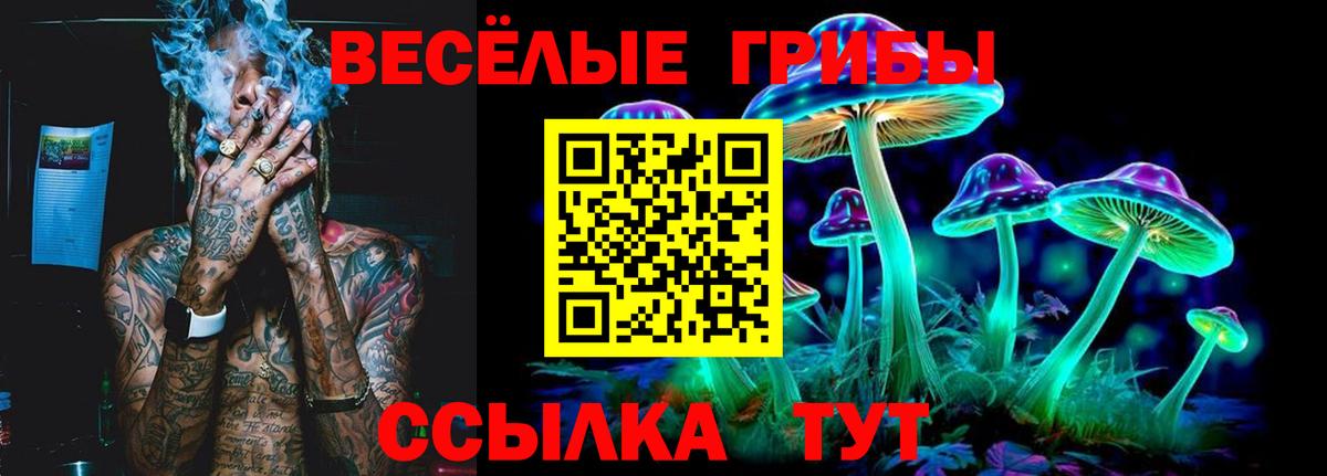 Псилоцибиновые грибы GOLDEN TEACHER Мирный