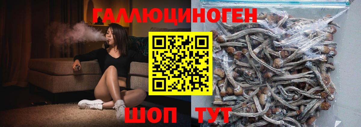Галлюциногенные грибы Psilocybine cubensis  Вход с VPN  Псилоцибиновые грибы Cubensis  Мирный 